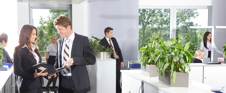 SCUR24 - Unser Portfolio umfasst Vorratsgesellschaften in der Rechtsform der UG, GmbH & Co. KG 